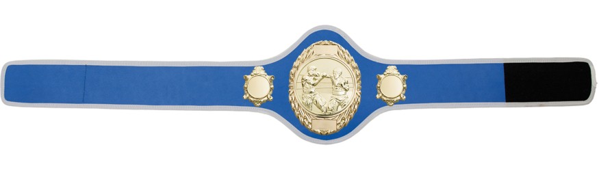 BOXING CHAMPIONSHIP BELT-PRO286/G/BOXG-10+ COLOURS
